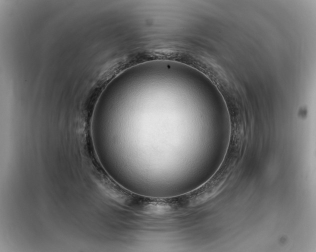 X0000099450749200805091505