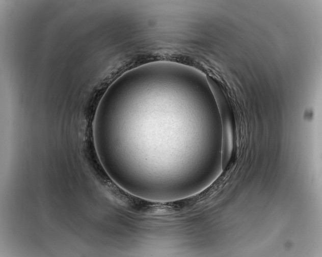 X0000099450750200805091505