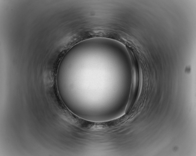 X0000099450751200805091505