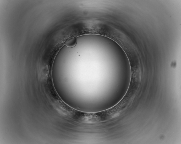 X0000099450752200805091505