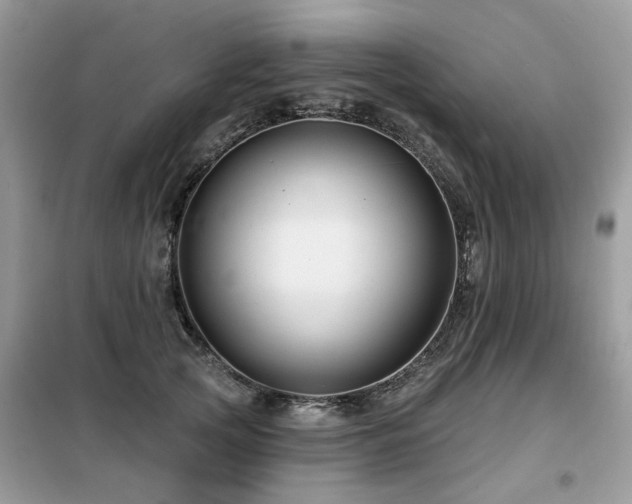 X0000099450753200805091505