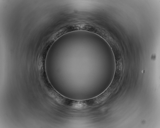 X0000099450754200805091505