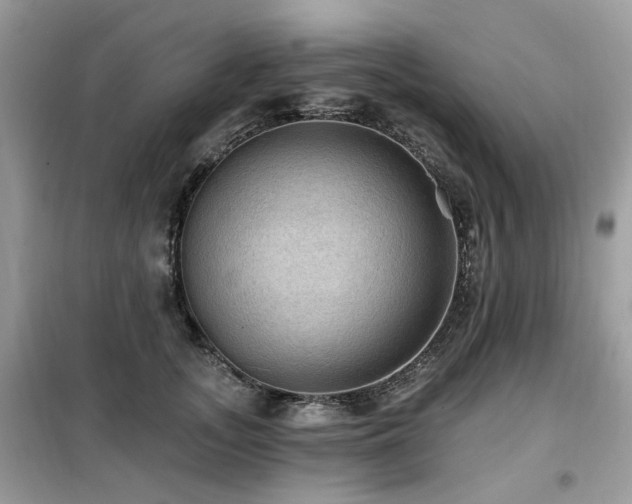 X0000099450755200805091505