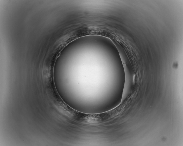 X0000099450756200805091505