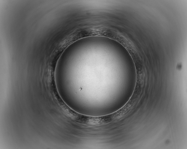 X0000099450757200805091505