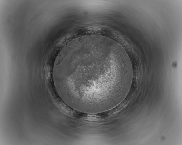 X0000099450758200805091505