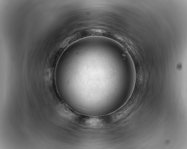 X0000099450759200805091505