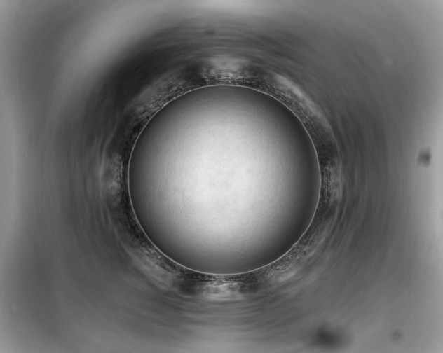 X0000099450760200805091505
