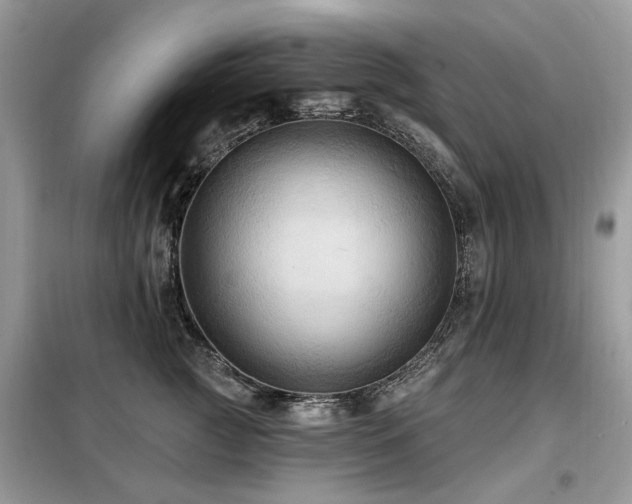 X0000099450761200805091505