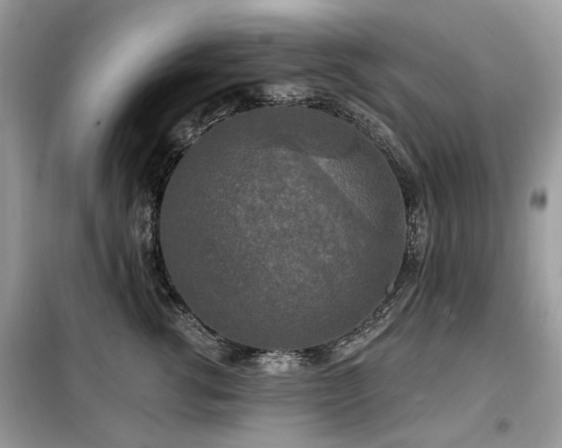 X0000099450762200805091505