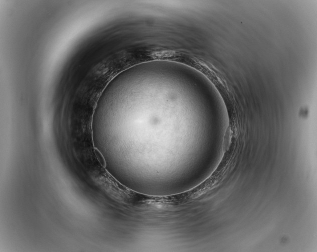 X0000099450763200805091505