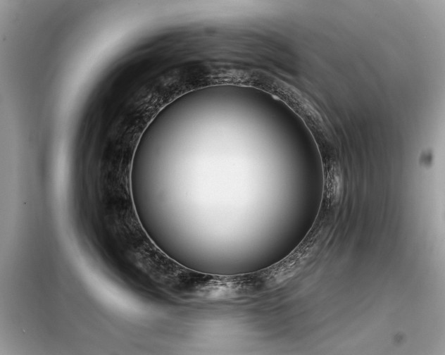 X0000099450764200805091505