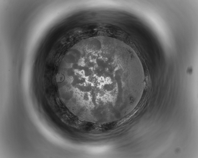 X0000099450765200805091505