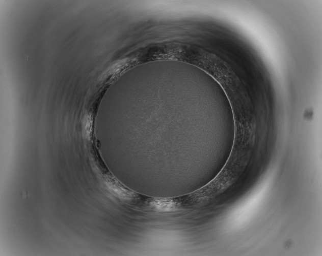 X0000099450767200805091505