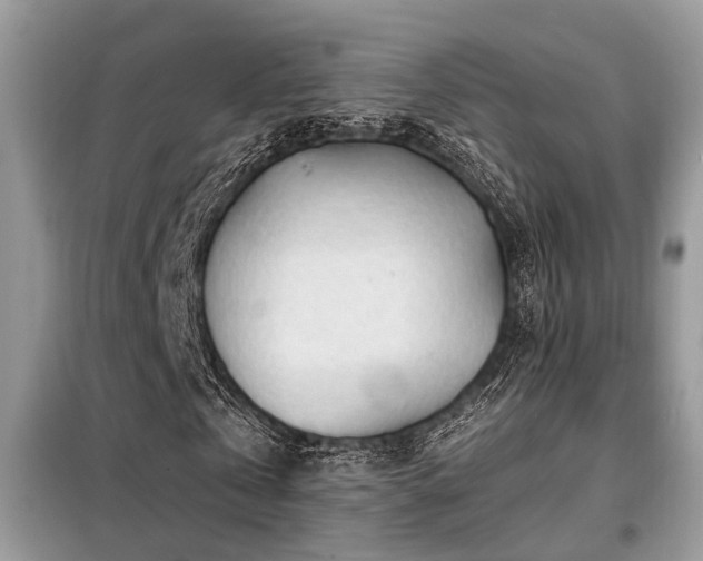 X0000099450769200805091505