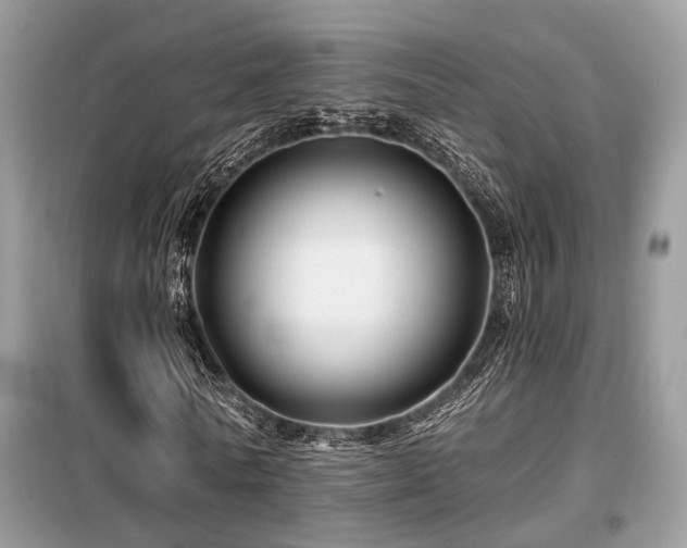 X0000099450770200805091505