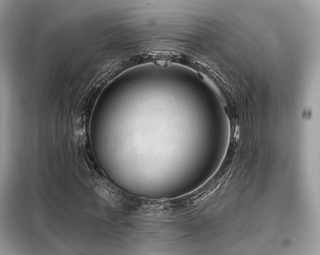 X0000099450771200805091505