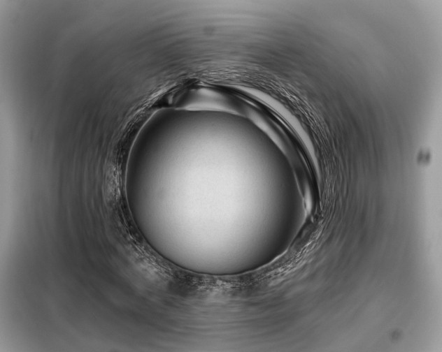 X0000099450772200805091505
