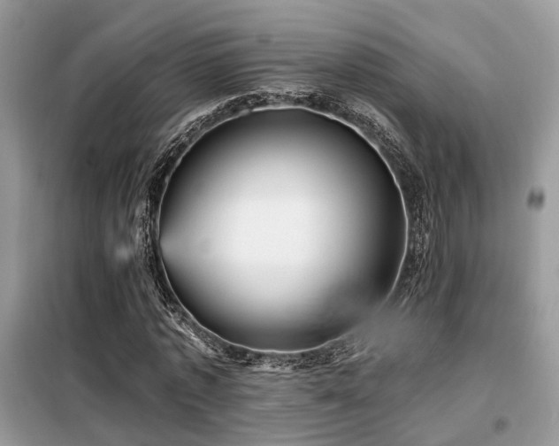 X0000099450773200805091505