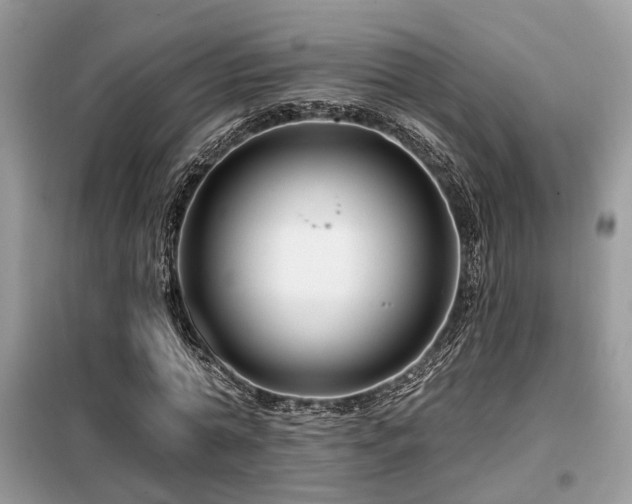 X0000099450774200805091505