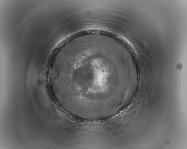 X0000099450775200805091505
