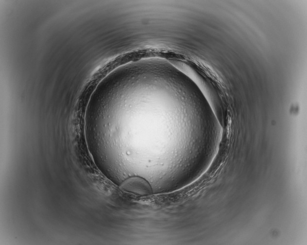 X0000099450776200805091505