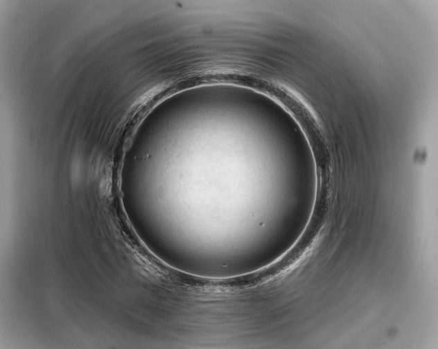 X0000099450777200805091505