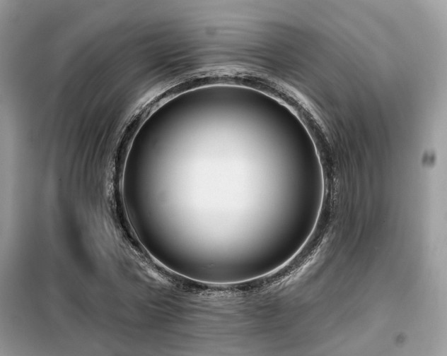 X0000099450778200805091505