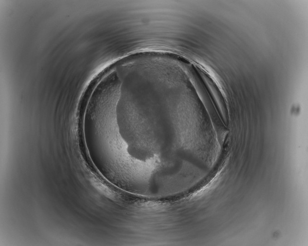 X0000099450779200805091505