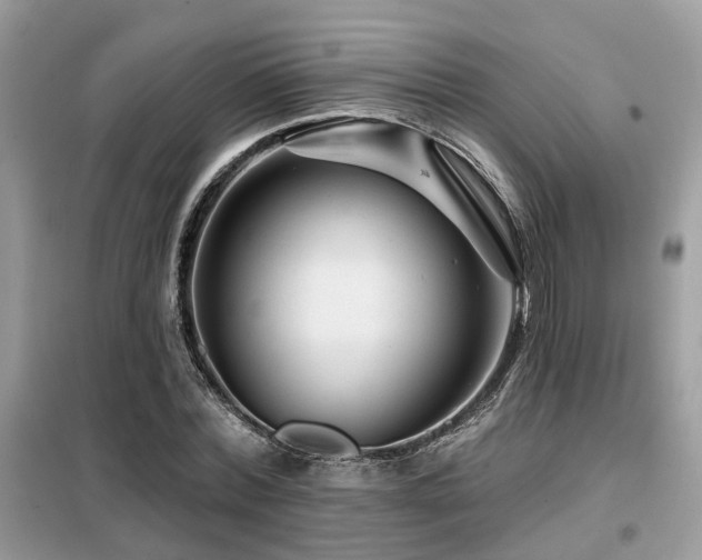 X0000099450780200805091505