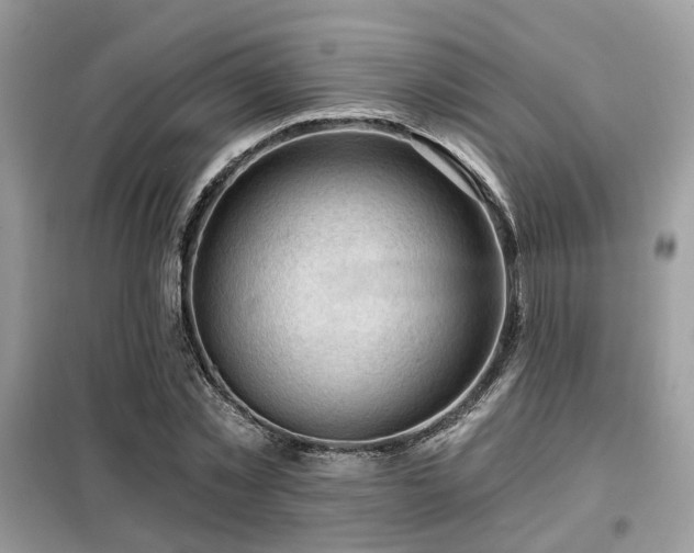 X0000099450781200805091505