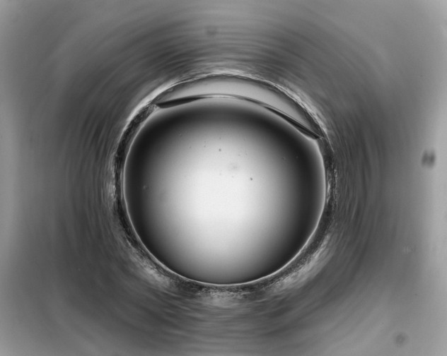 X0000099450782200805091505