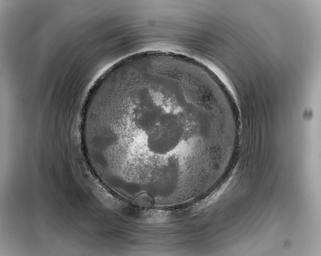 X0000099450783200805091505