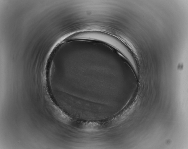 X0000099450784200805091505