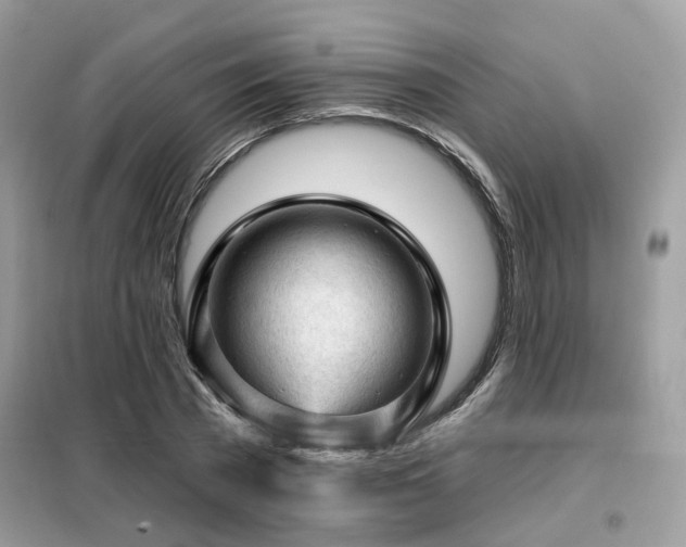 X0000099450785200805091505