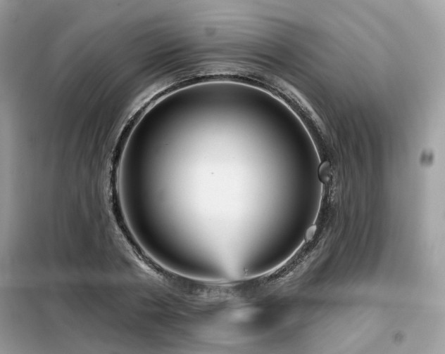 X0000099450786200805091505