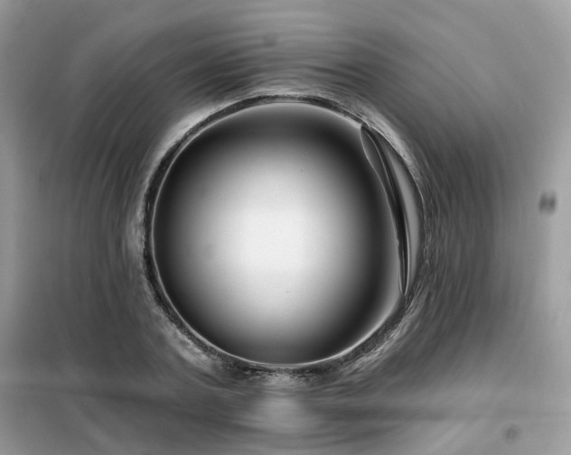 X0000099450787200805091505