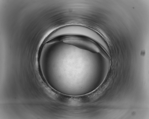 X0000099450788200805091505