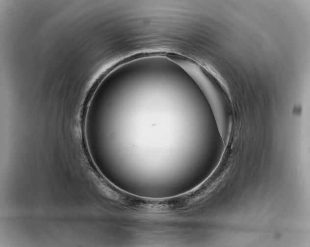 X0000099450789200805091505