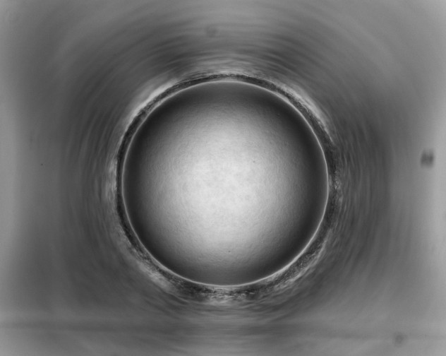 X0000099450790200805091505
