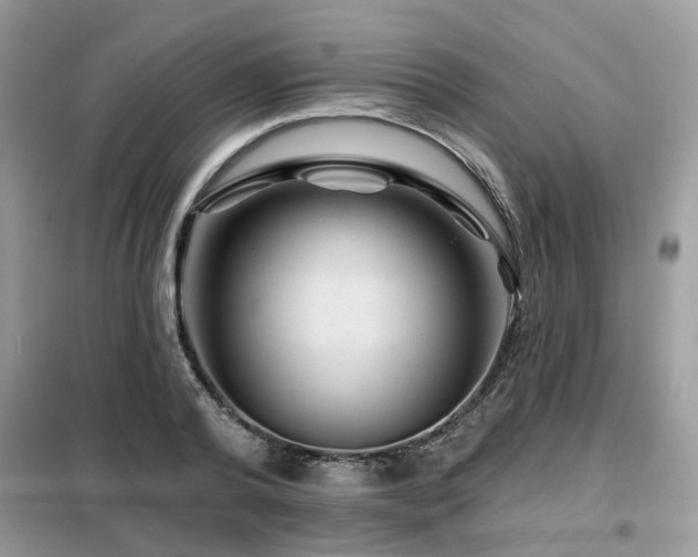 X0000099450792200805091505