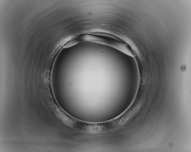 X0000099450793200805091504