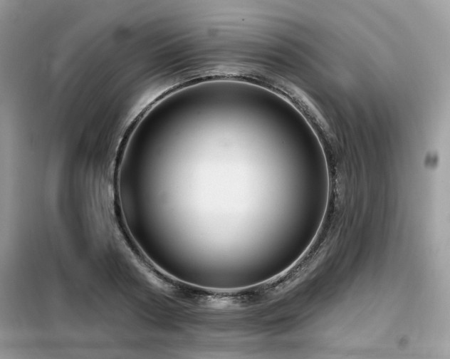 X0000099450794200805091504