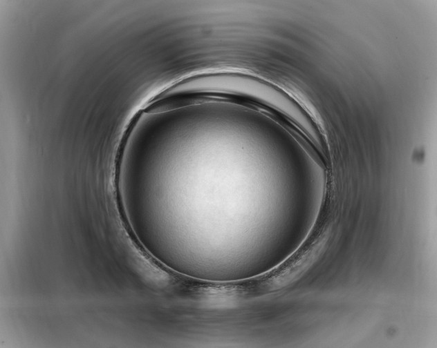 X0000099450797200805091504