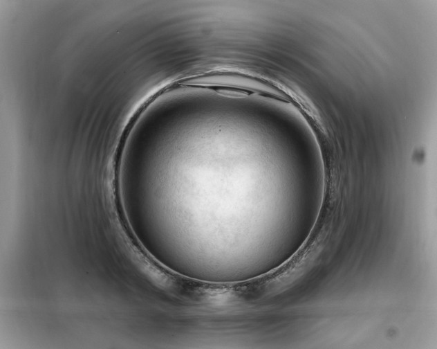 X0000099450798200805091504