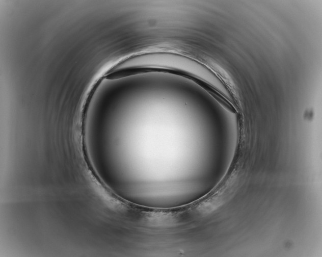 X0000099450800200805091504