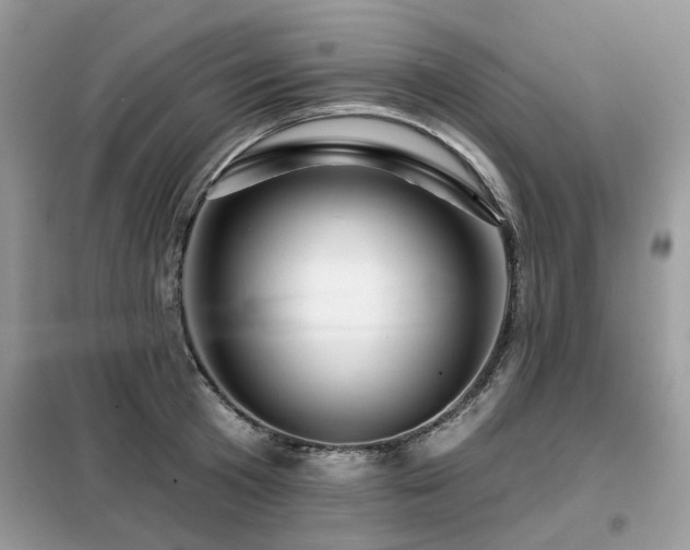 X0000099450801200805091504