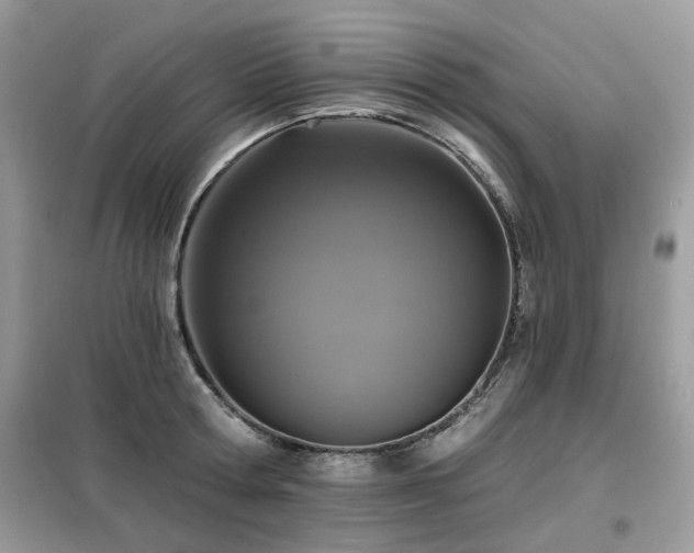 X0000099450802200805091504