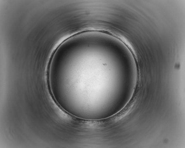 X0000099450803200805091504