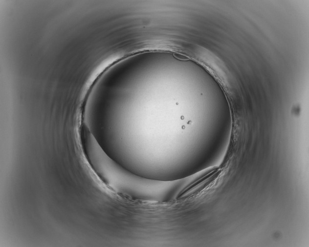 X0000099450804200805091504